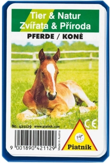 Cuarteto - Caballos en caja de plástico