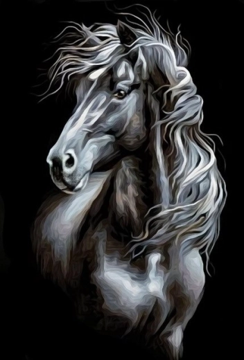 Pintura con diamantes caballo en blanco y negro 30 × 40 cm