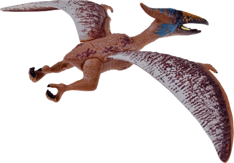 Set variado para historias infinitas