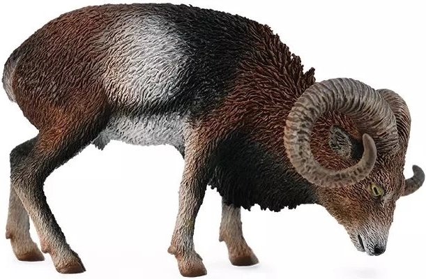 Muflón europeo