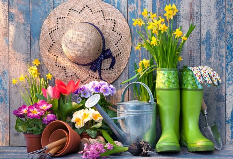 Puzzle «Preparado para la jardinería» 1000 piezas BLUEBIRD