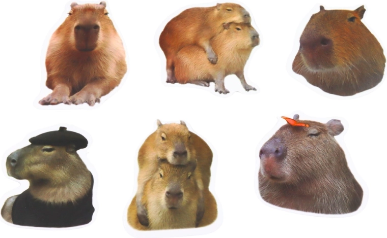 Motivos realistas de capibaras