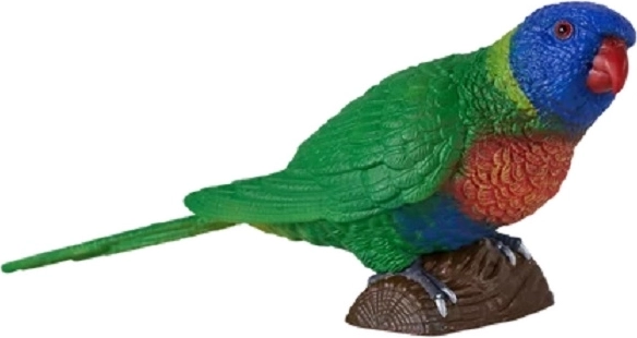 Loro arcoíris Mojo