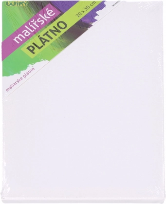 Lienzo de pintura 20 × 30 cm