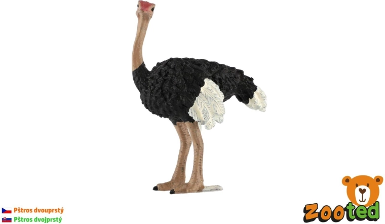 Figura de avestruz de dos dedos de 11 cm