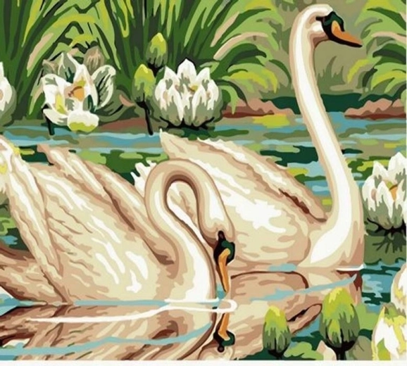 Norimpex pintura por números Cisnes en el estanque 40 × 50 cm