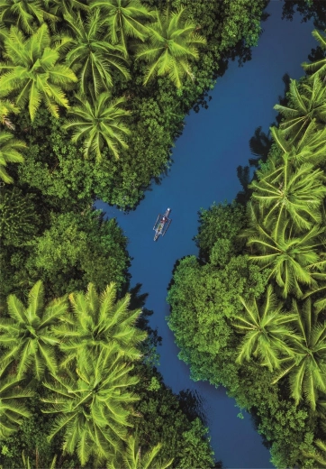 Rompecabezas con vista tropical desde perspectiva aérea