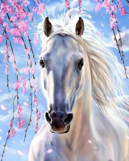 Norimpex Pintura por números caballo blanco bajo ramas rosadas 40 × 50 cm