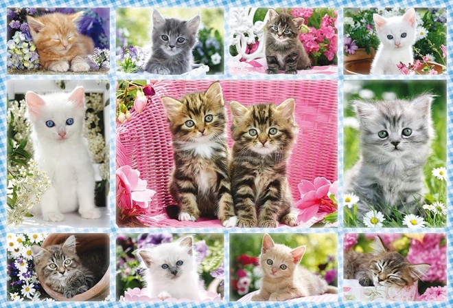 Puzle de gatitos de 100 piezas