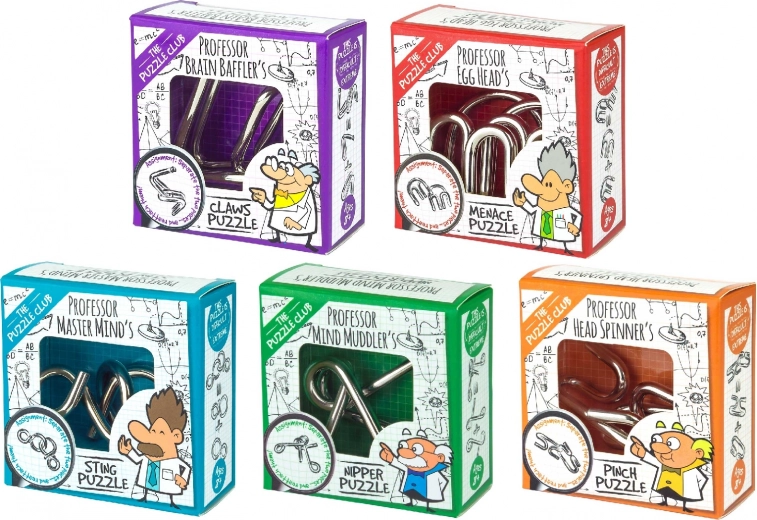 Rompecabezas metálico Profesor Puzzle
