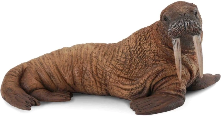 Figura de morsa del Ártico Collecta