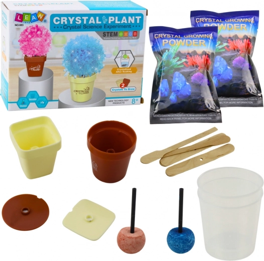 Kit educativo Cultivar árbol mágico de cristales