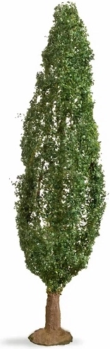 Álamo NOCH (Master Tree) 18 cm