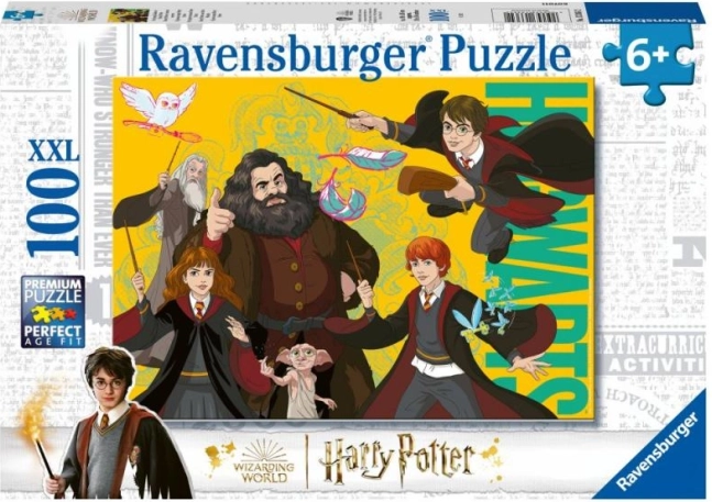 Harry Potter: joven mago puzzle de 100 piezas