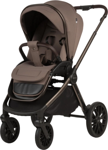 Silla de paseo reversible