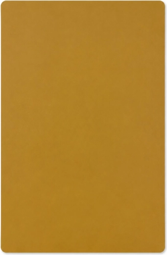 Mantel individual de plástico para mesa Verde mostaza 58 × 38 cm