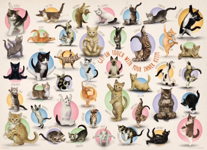 Puzzle Eurographics yoga de gatos XL 500 piezas