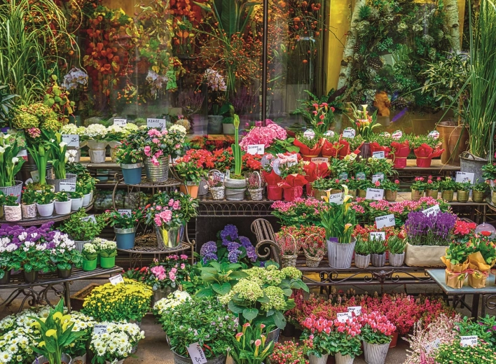 Puzzle Ravensburger USA Jigsaw Nationals 2026 – Venta de flores 500 piezas