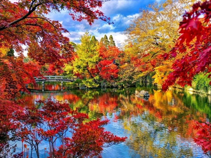Pintura de diamantes Parque en otoño 40 × 30 cm