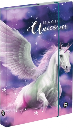 Caja para cuadernos A4 Pegaso