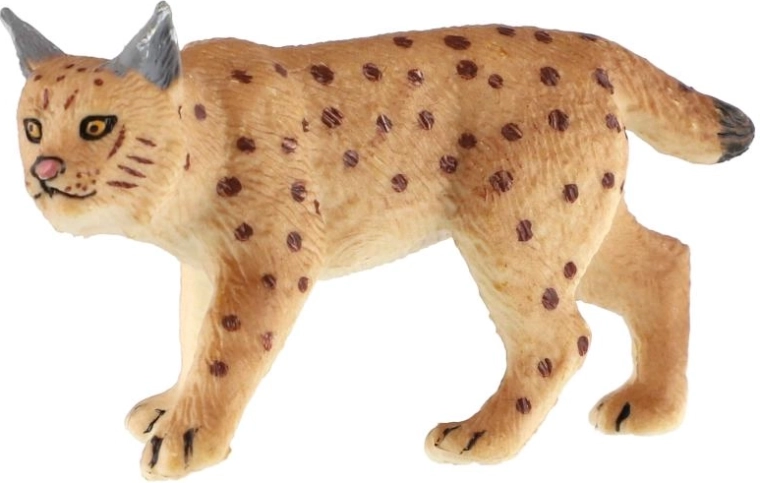 Rasgos característicos del lince