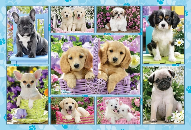 Puzzle de cachorros de 200 piezas SCHMIDT