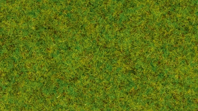 Noch hierba estática pradera primaveral 2,5 mm