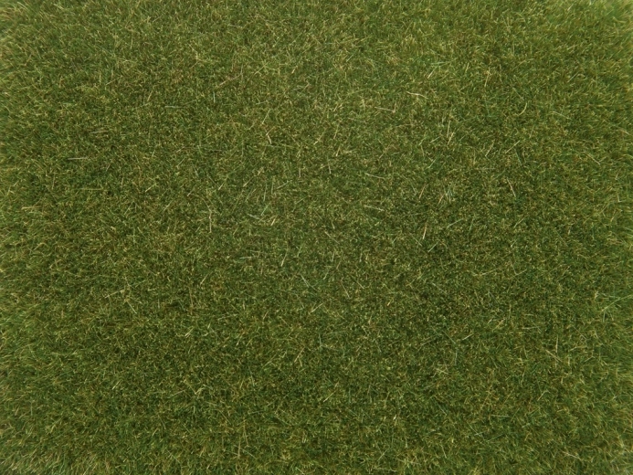 Noch hierba estática verde claro 4 mm