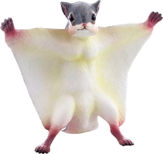 Ardilla voladora