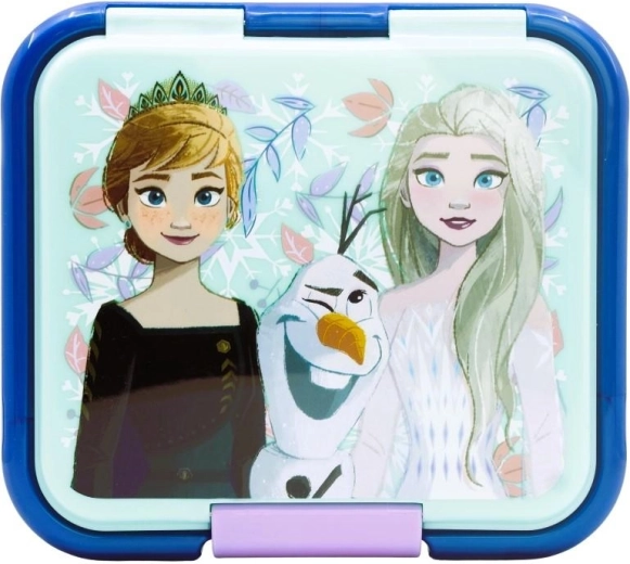 Motivo Frozen y cierre seguro