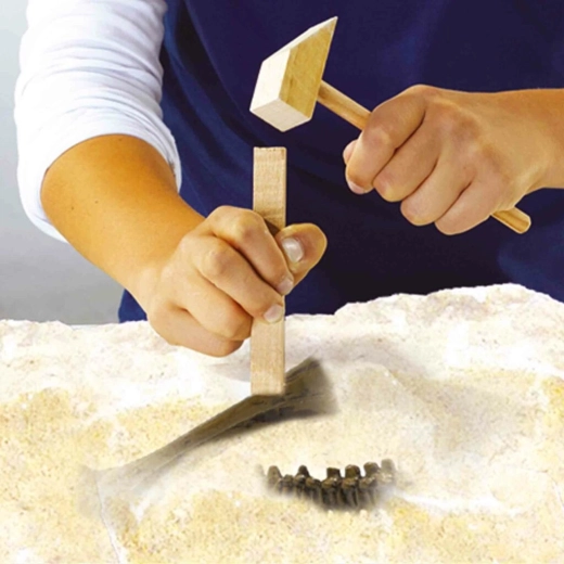 Excavación como un auténtico paleontólogo