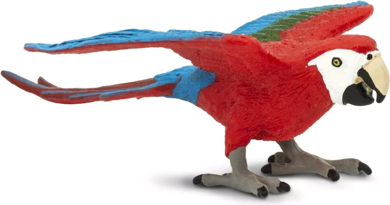 Diseño realista del guacamayo