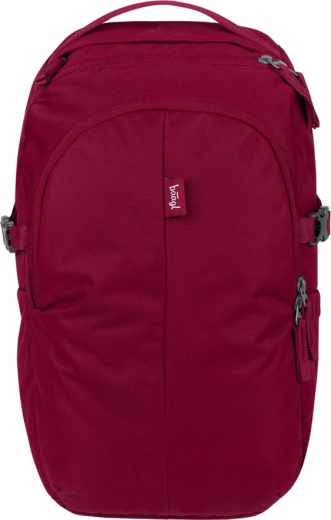 Mochila Baagl Dash burdeos