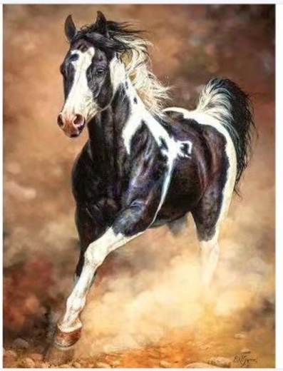 Norimpex Pintura por números Caballo galopando en la arena 40 × 50 cm