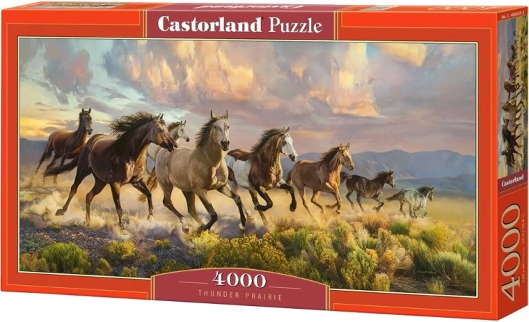 Puzzle Castorland «Pradera bulliciosa» 4000 piezas