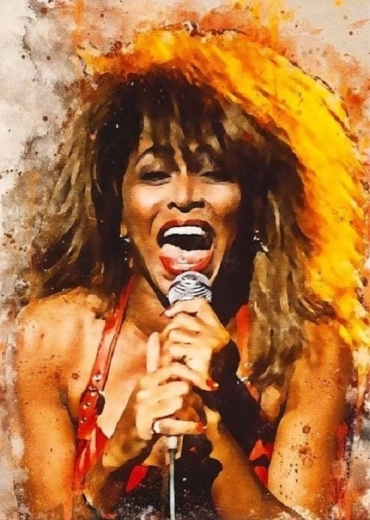 Norimpex pintura de diamantes Tina Turner cantando 30 × 40 cm