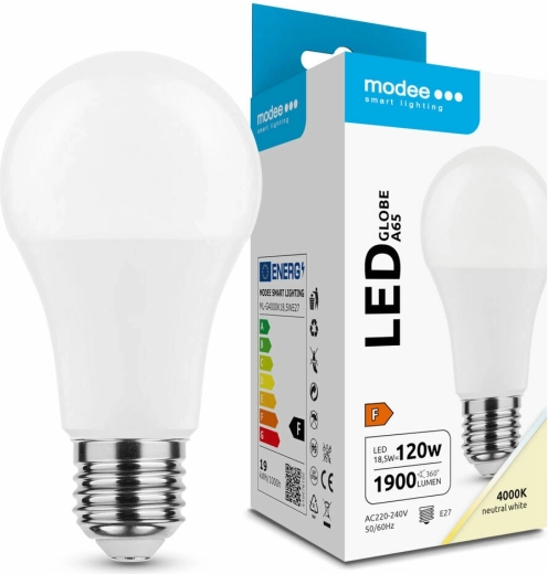 Bombilla LED Globe A65 18,5 W E27 4000 K 270°