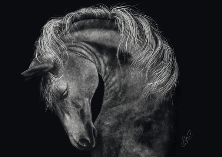 Puzzle Fuerza del caballo 1000 piezas