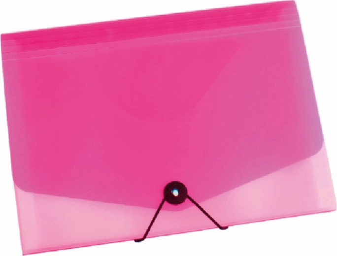 Organizador para documentos A4 con goma elástica, transparente/rosa – 13 bolsillos