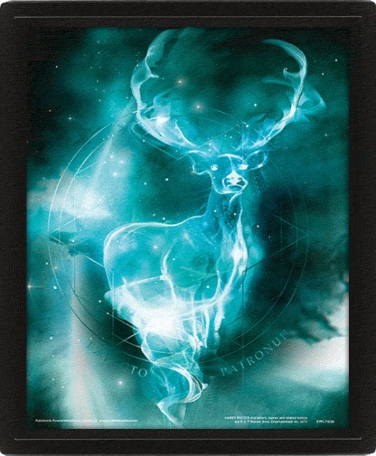 Cuadro 3D Harry Potter - Patronus