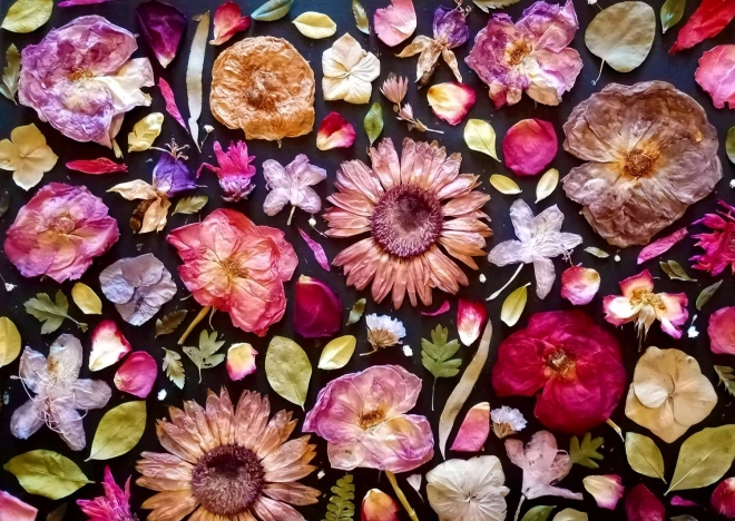 Puzzle Enjoy rosa de 1000 piezas