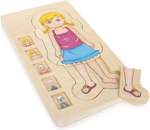Puzzle de madera en capas sobre la anatomía del cuerpo de una niña