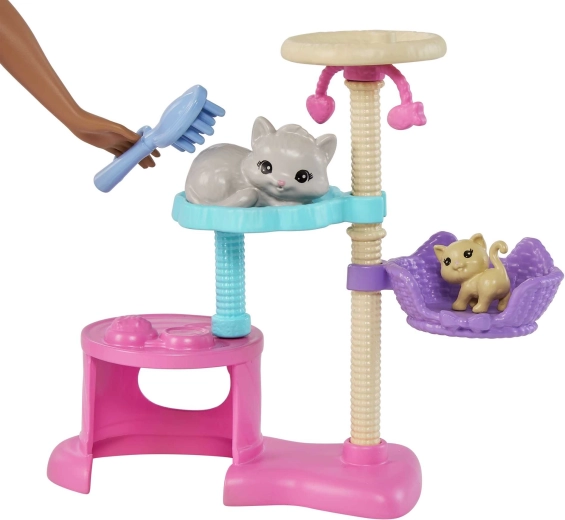 Cinco adorables gatitos y mucho cuidado