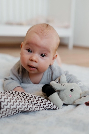 Sonajero para el desarrollo sensorial