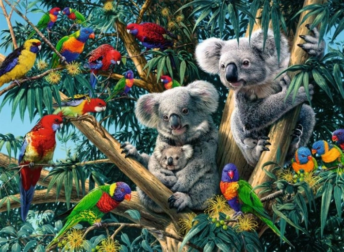 Puzzle Koalas en un Árbol 500 Piezas