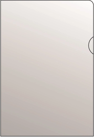 Funda transparente para documentos A5 transparente