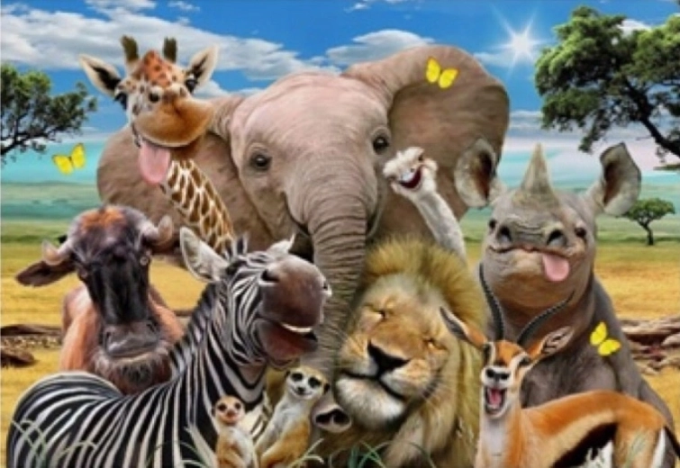 Norimpex pintura por números Safari 40 × 50 cm