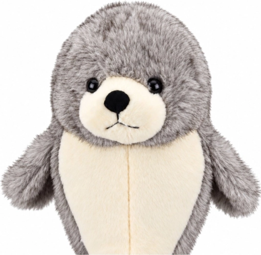 Adorable aspecto de foca
