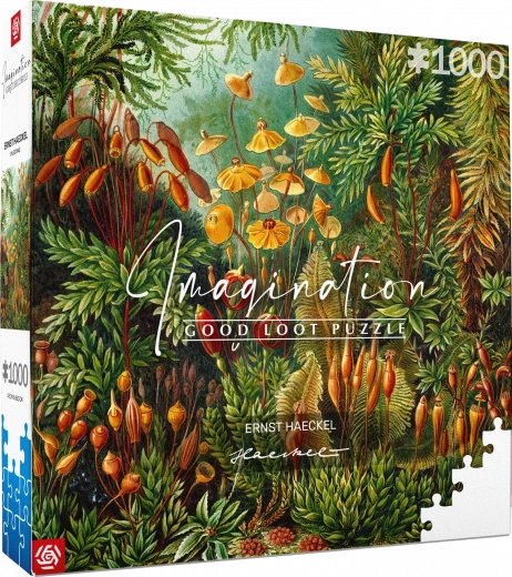 Puzzle Imagination: Ernst Haeckel – Muscinae 1000 piezas