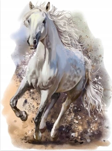 Norimpex pintura de diamantes caballo blanco galopando 30 × 40 cm